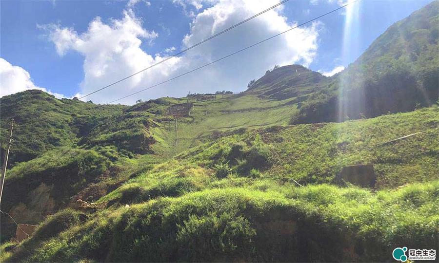 ¿óÇøÐÞ¸´ºó ¿óÇøÐÞ¸´ºó