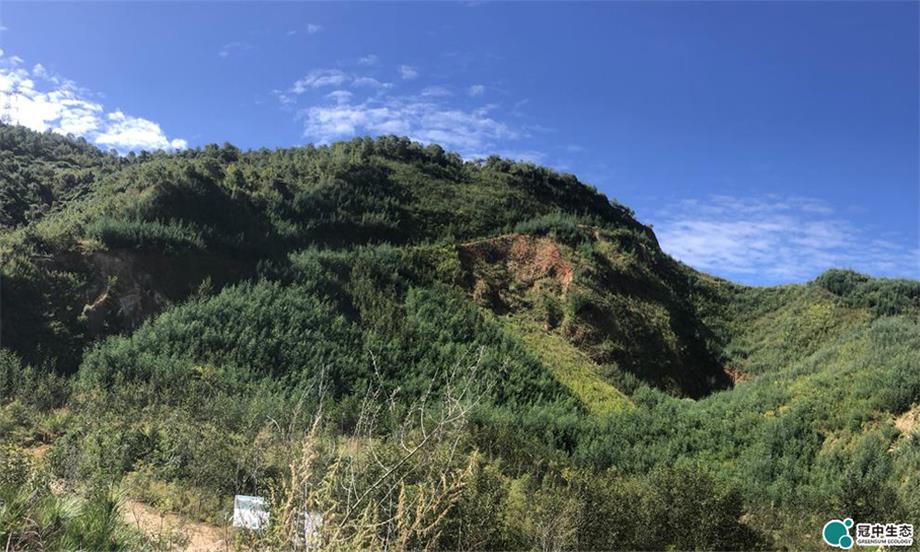 ´óÀí¿óÇøÐÞ¸´ºó ´óÀí¿óÇøÐÞ¸´ºó